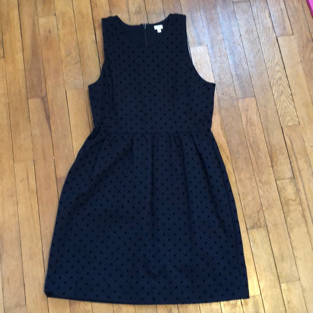 Jcrew black dress dots